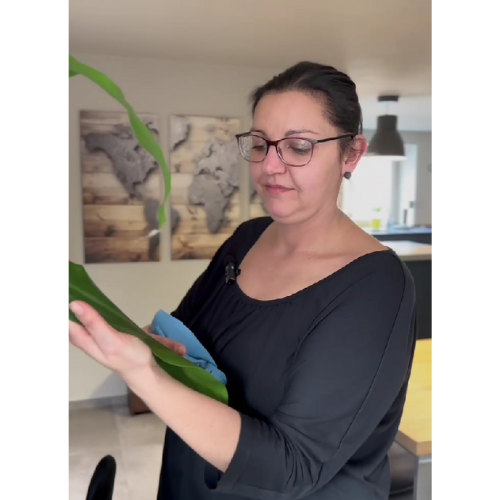 Tips | 🍽️🌿 Come nutrire e lucidare il legno… ma non solo!