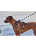 🐕 Pettorina Secur Fit Triplo Aggancio Nylon Deluxe Reflect – Nero